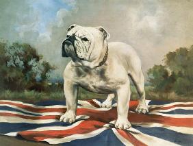 British Bulldog