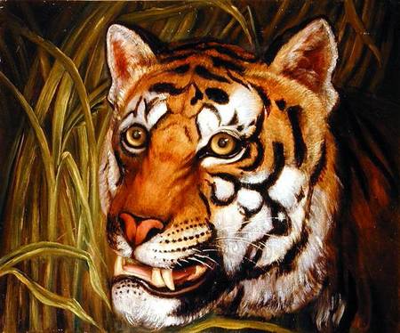 Tiger, tiger burning bright... à École anglaise de peinture