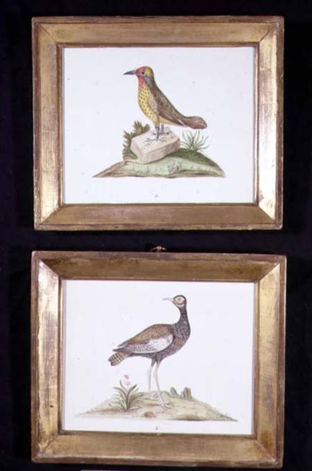 A Woodpecker and a Grouse à École anglaise de peinture
