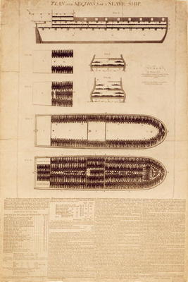 Plan and sections of a slave ship, published 1789 (engraving) à Ecole anglaise, (18ème siècle)
