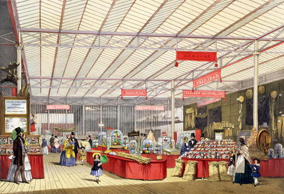 Colonial Produce in the Great Exhibition of 1851, from Dickinson's Comprehensive Pictures (coloured à Ecole anglaise, (19ème siècle)