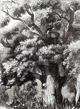 Charles II (1630-85) Hidden in the Oak Tree, 14th October 1651 (engraving) (b&w photo)