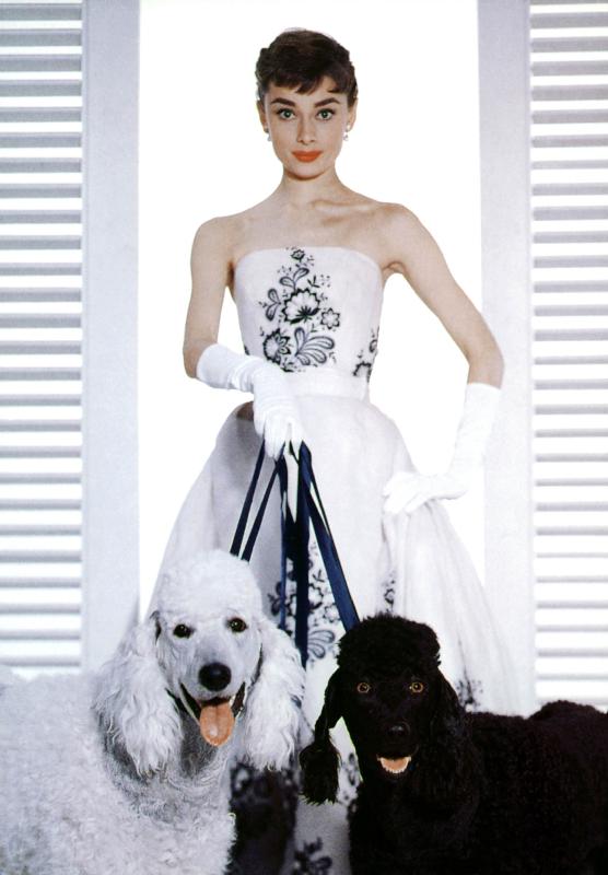 SABRINA de BillyWilder avec Audrey Hepburn à Photographies de Célébrités