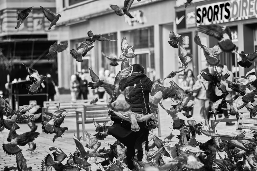 Feeding the pigeons à Enrico Zabeo