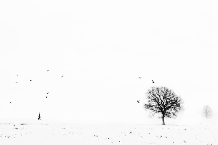 Ballade ardennaise à Eric Drigny