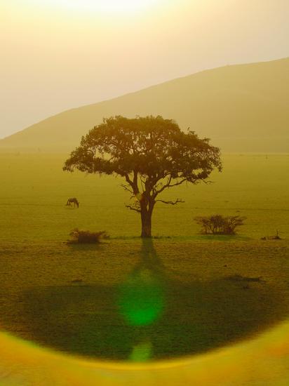 Paradise after the rain, Chyulu Hills