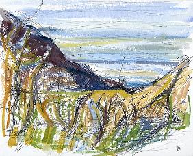 Towards Marsland Mouth, North Devon (pen and ink and and on paper)