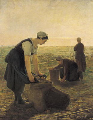 The Potato Harvest (oil on canvas) à Ernest Masson