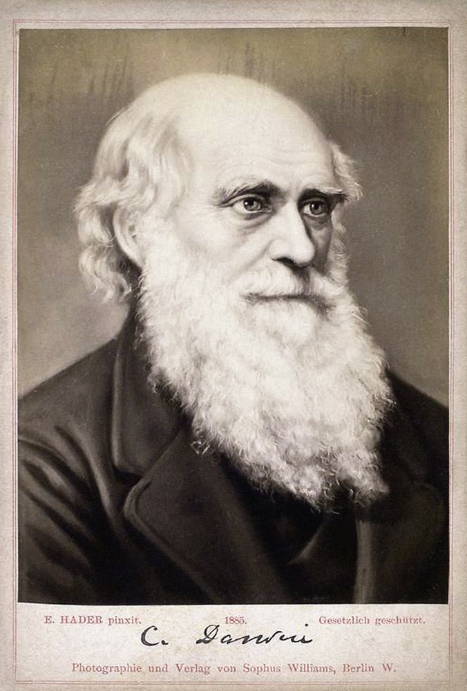 Portrait of Charles Darwin (1809-1882) à Ernst Hader