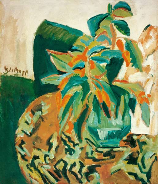 Plante fleurissant à Ernst Ludwig Kirchner