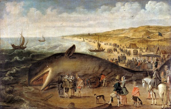 The Whale beached between Scheveningen and Katwijk à Esaias II van de Velde