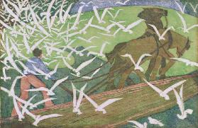 Birds Following a Plough