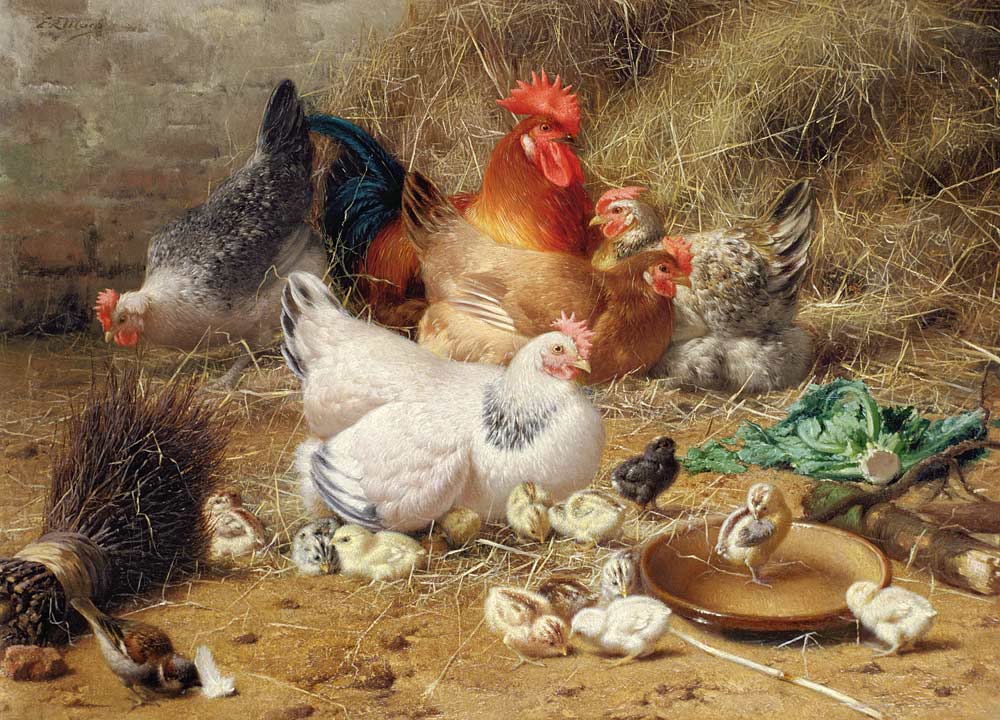 Hens roosting with their chickens à Eugène Remy Maes