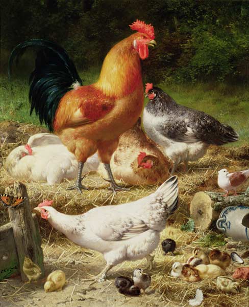 Chickens à Eugène Remy Maes