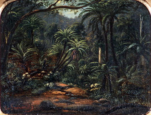 Ferntree Gully in the Dandenong Ranges, 1857 (oil on canvas on cedar panel) à Eugene von Guerard