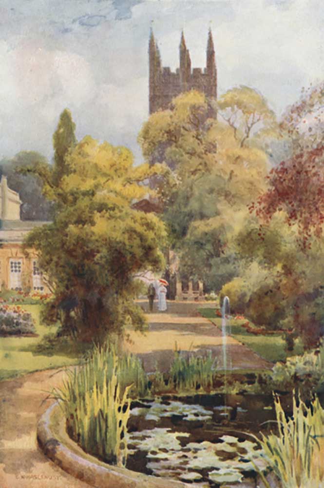 Botanic Gardens and Magdalen Tower à E.W. Haslehust