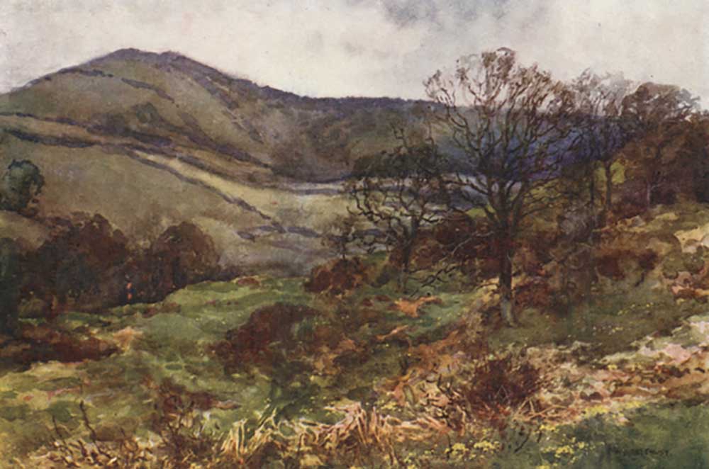 Shanklin Down, Early Spring à E.W. Haslehust