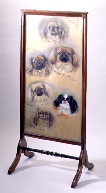 Head studies of Pekinese dogs, mounted as a fire screen à F. Mabel Hollams