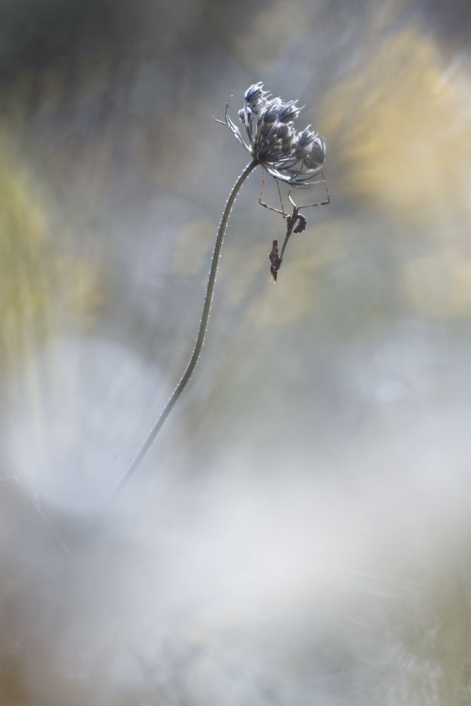 All the small things à Fabien Bravin