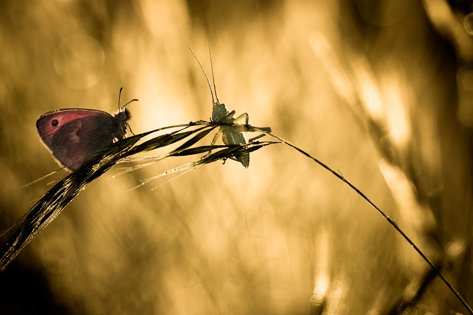 Hi dude, A bit cold this morning à Fabien Bravin