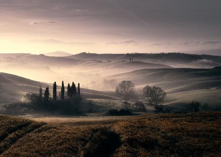 Light Tuscany