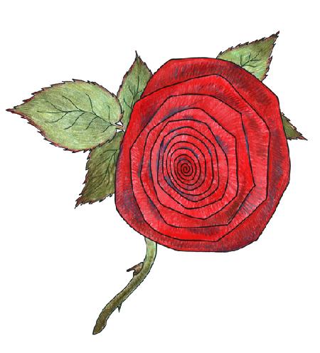Rose 7
