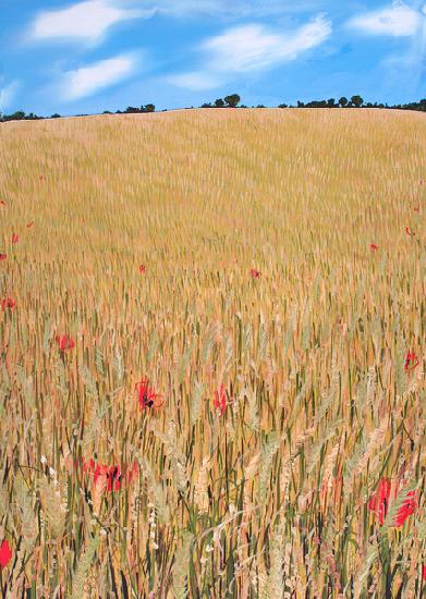 Wheatfield