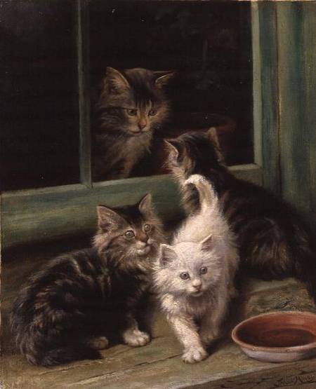 Kittens à Fannie Moody