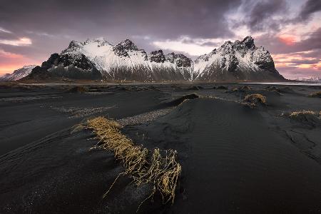 Black Sands