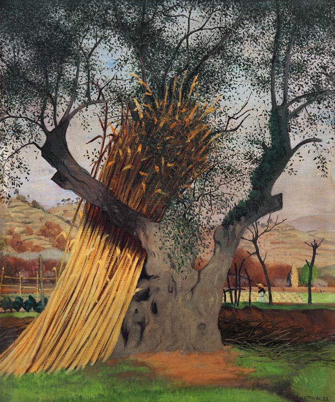 The Old Olive Tree à Felix Vallotton