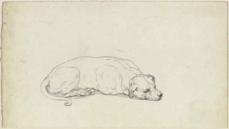 Sleeping dog à Ferdinand Fellner