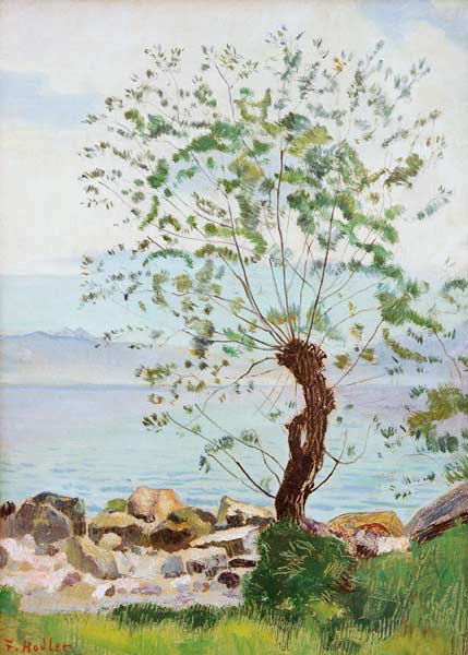 Willow at the Lake à Ferdinand Hodler