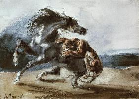 Tiger Attacking a Wild Horse