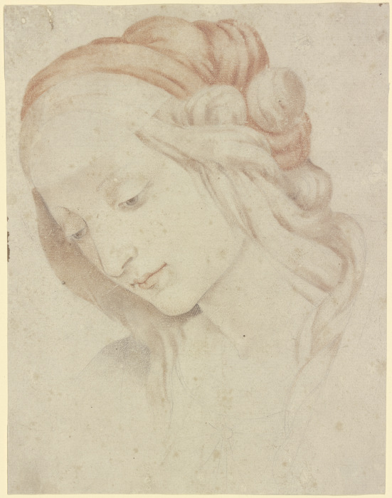 Frauenkopf (Heilige Elisabeth?), im Dreiviertelprofil nach links geneigt à Filippino Lippi