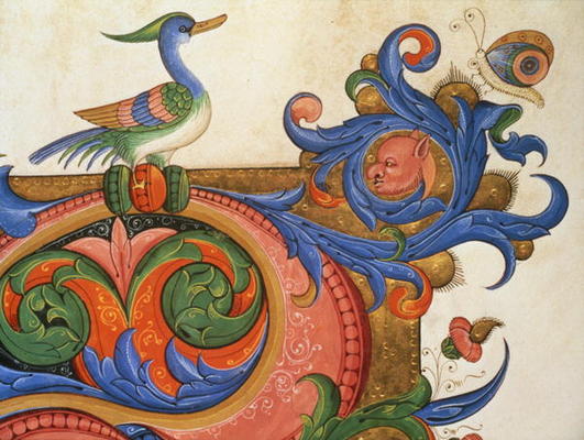 Missal 515 f.92v Zoomorphic foliage with duck-like bird and butterfly, detail of decoration surround à Filippo di Matteo Torelli