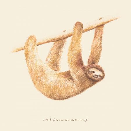 Css Animals   Sloth