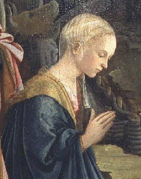 The Nativity, detail depicting the Madonna