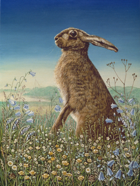 Hare à Frances Broomfield