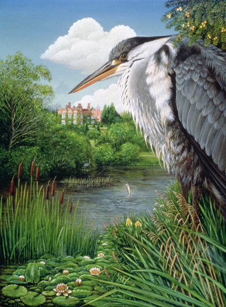 Herons at Chilham à Frances Broomfield