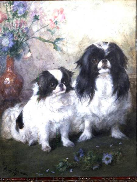 A Japanese Chin Bitch and her Puppy à Frances C. Fairman