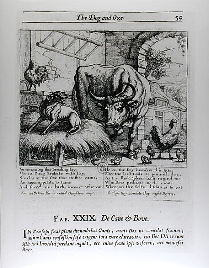 Illustration for ''The Dog and the Ox'', from Aesop''s Fables à Francis Barlow