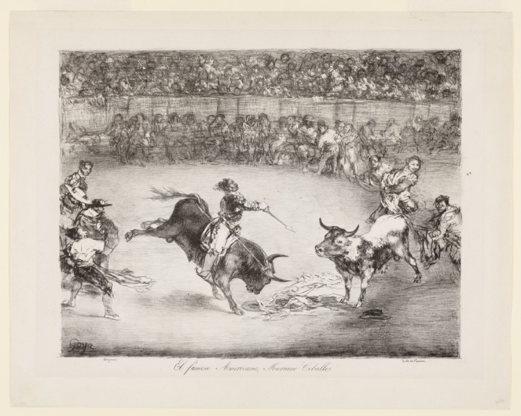 The famous American, Mariano Ceballos
The Bulls of Bordeaux à Francisco de Goya