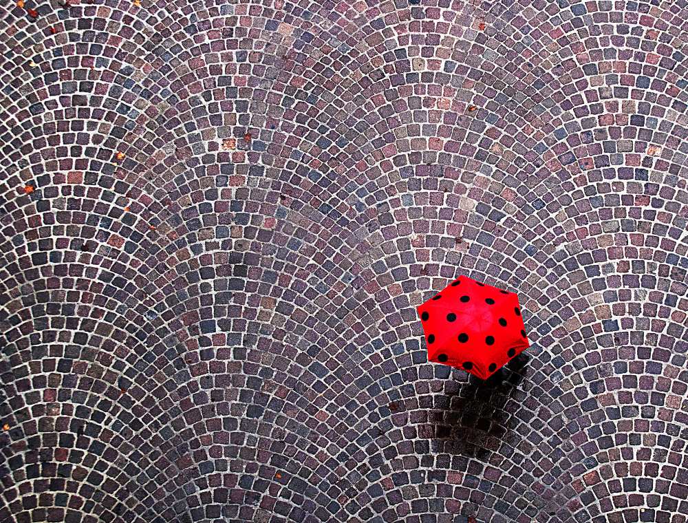 urban ladybug à Franco Maffei