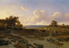 Heath Landscape with Cows