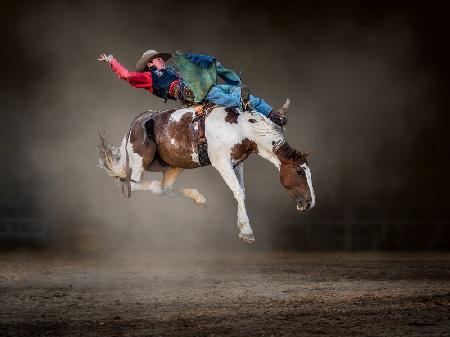 Buckjumping