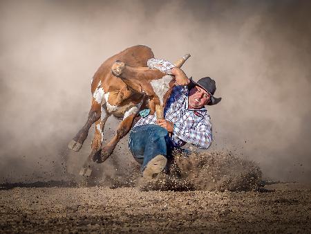 Steer Wrestling