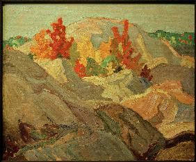 Autumn Foliage against Grey Rock