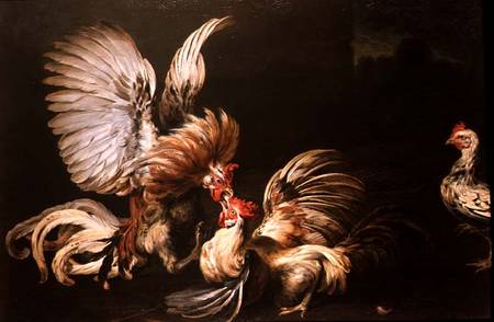 Fighting Cocks à Frans Snyders