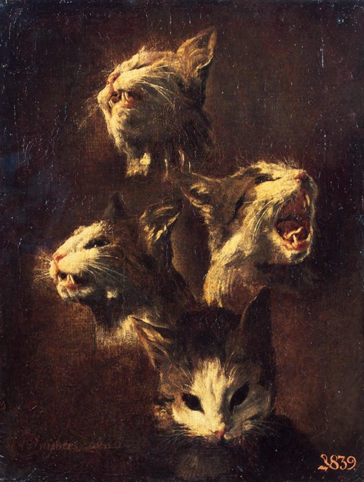 Studies of cats' heads à Frans Snyders