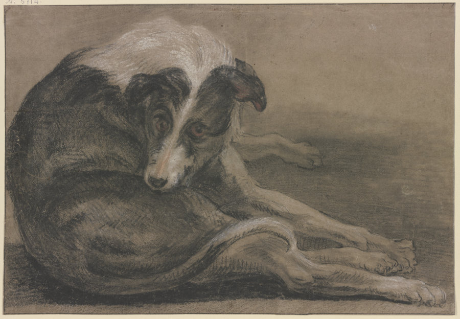 Greyhound, lying à Frans Snyders